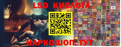 ПСИЛОЦИБИНОВЫЕ ГРИБЫ Заволжье