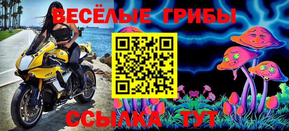 Заречный  Псилоцибиновые грибы GOLDEN TEACHER  Галлюциногенные грибы мицелий  Вход с VPN 